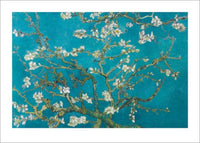 pyramid ppr47011 van gogh almond blossom san ramy 1890 stampa artistica 50x70cm | Yourdecoration.it