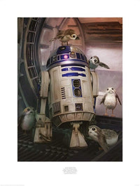 pyramid ppr51032 star wars the last jedi r2d2 and porgs stampa artistica 60x80cm | Yourdecoration.it