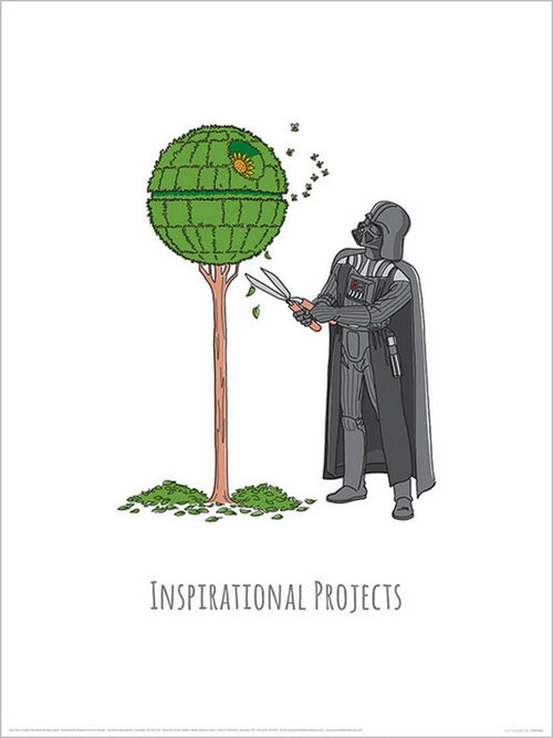 pyramid ppr54083 star wars vaders boredom busting ideas inspirational projects stampa artistica 30x40cm | Yourdecoration.it