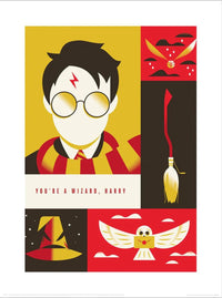 pyramid ppr54293 warner bros you are a wizard harry stampa artistica 30x40cm | Yourdecoration.it