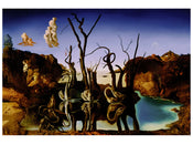 salvador dali reflections of elephants stampa artistica 80x60cm | Yourdecoration.it