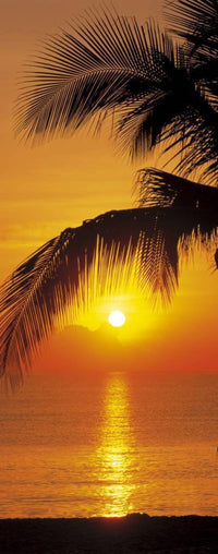 2 1255 Komar Palmy Beach Sunrise Carta Da Parati 92X220 | Yourdecoration.it