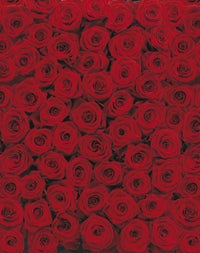 4 077 Komar Roses Carta Da Parati 194X270cm 4 Pannelli | Yourdecoration.it