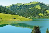 5186 8 Wizard_Genius Swiss Mountain Lake Launensee Gstaad Carta Da Parati In Tessuto Non Tessuto 384X260cm 8 Strisce_C79258F0 3586 47Cc Afeb Ae15382F56Eb | Yourdecoration.it
