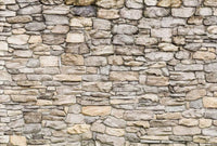 5498 8 Wizard_Genius Stone Wall Ii Carta Da Parati In Tessuto Non Tessuto 384X260cm 8 Strisce_A8994Ef9 F865 45E2 A8D9 9Febab05326C | Yourdecoration.it
