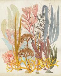 Komar Catchy Corals Tessuto Non Tessuto Carta Da Parati 200x250cm 2 strisce | Yourdecoration.it