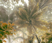 Komar Palms Panorama Tessuto Non Tessuto Carta Da Parati 300x250cm 3 strisce | Yourdecoration.it