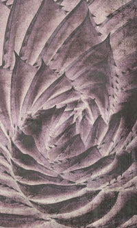 Dimex Cactus Abstract Carta Da Parati In Tessuto Non Tessuto 150X250cm 2 Strisce | Yourdecoration.it