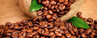 Dimex Coffee Beans Carta Da Parati In Tessuto Non Tessuto 375X150cm 5 Strisce_Db9Da570 Fa82 4E42 A0A5 B1Fbd70C0Da6 | Yourdecoration.it