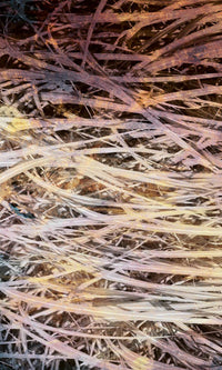 Dimex Hay Abstract I Carta Da Parati In Tessuto Non Tessuto 150X250cm 2 Strisce | Yourdecoration.it