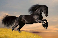 Dimex Horse Carta Da Parati In Tessuto Non Tessuto 375X250cm 5 Strisce_B99Bfa34 C1Df 4B58 Bcf4 F5Be14Ebd737 | Yourdecoration.it
