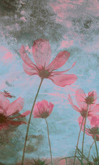 Dimex Pink Flower Abstract Carta Da Parati In Tessuto Non Tessuto 150X250cm 2 Strisce | Yourdecoration.it