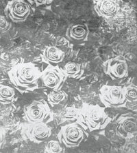 Dimex Roses Abstract Ii Carta Da Parati In Tessuto Non Tessuto 225X250cm 3 Strisce | Yourdecoration.it