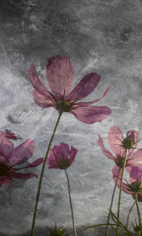 Dimex Violet Flower Abstract Carta Da Parati In Tessuto Non Tessuto 150X250cm 2 Strisce | Yourdecoration.it