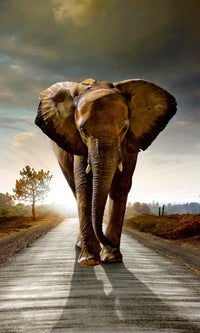 Dimex Walking Elephant Carta Da Parati In Tessuto Non Tessuto 150X250cm 2 Strisce | Yourdecoration.it