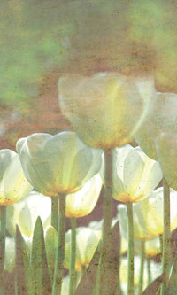 Dimex White Tulips Abstract Carta Da Parati In Tessuto Non Tessuto 150X250cm 2 Strisce | Yourdecoration.it