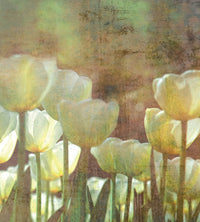Dimex White Tulips Abstract Carta Da Parati In Tessuto Non Tessuto 225X250cm 3 Strisce | Yourdecoration.it