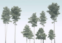 R4 040 Komar Pines Carta Da Parati In Tessuto Non Tessuto 400X280cm 4 Strisce_3014A02E 2784 4B2A B55B 205Be2Ff9Bca | Yourdecoration.it